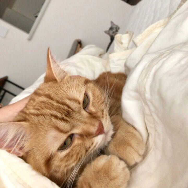 0b724f67 86bf 4d79 a095 1de556a99d95 1530924781119