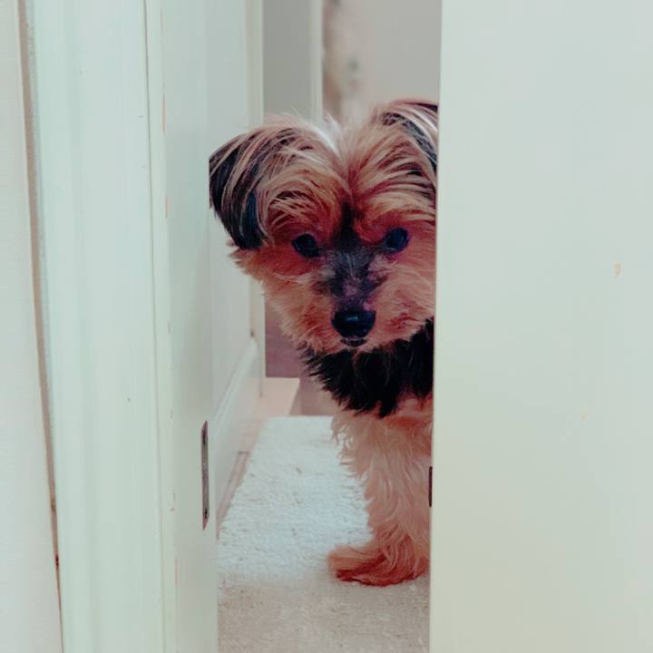 0b725aa5 db98 4047 813b 090afd0f496c 1624073073771