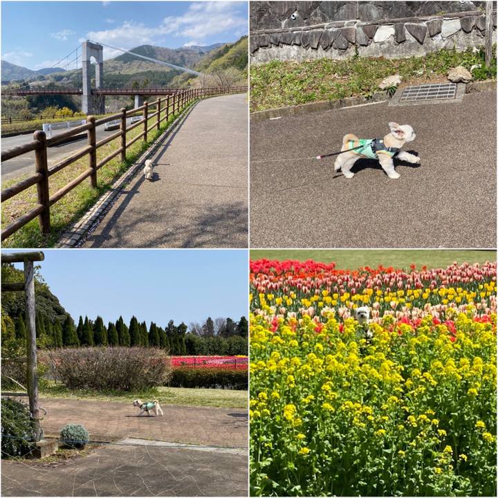 0b72a403 ca53 46e6 946a 61ce06185cbc 1585983508107