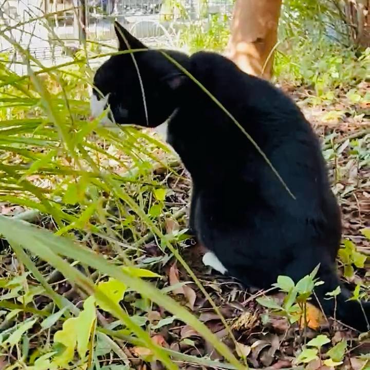 0b72b190 2793 420b 8022 12a45e29709e 1760062538847