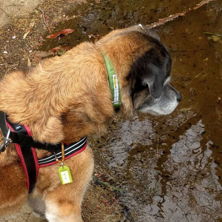 0b72bd70 552e 4d2d 8aa9 0e0950cb9ce7 1522978525068