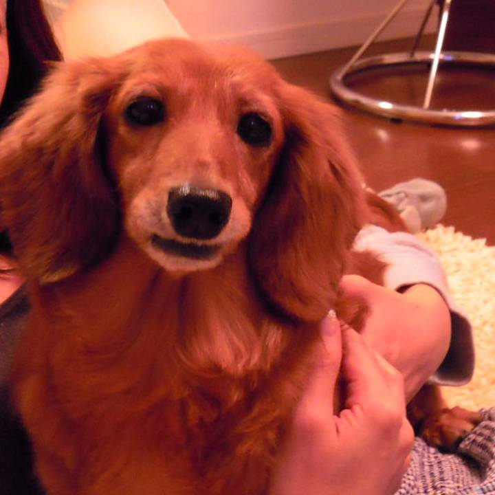 0b72d3bb 23a8 440c b712 4a744c0b3746 1550079867393