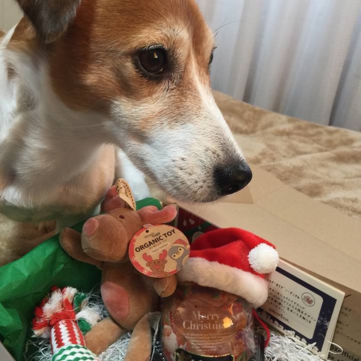 0b72e52a 00bb 4034 b202 206101db9826 1513049511372