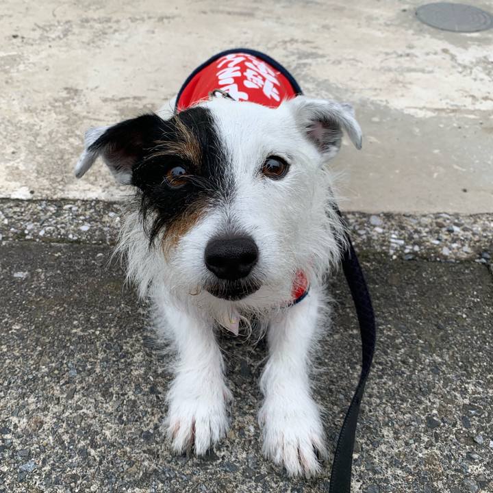 0b72f3a8 f786 4da9 9244 d3116f76f5dd 1655338316073