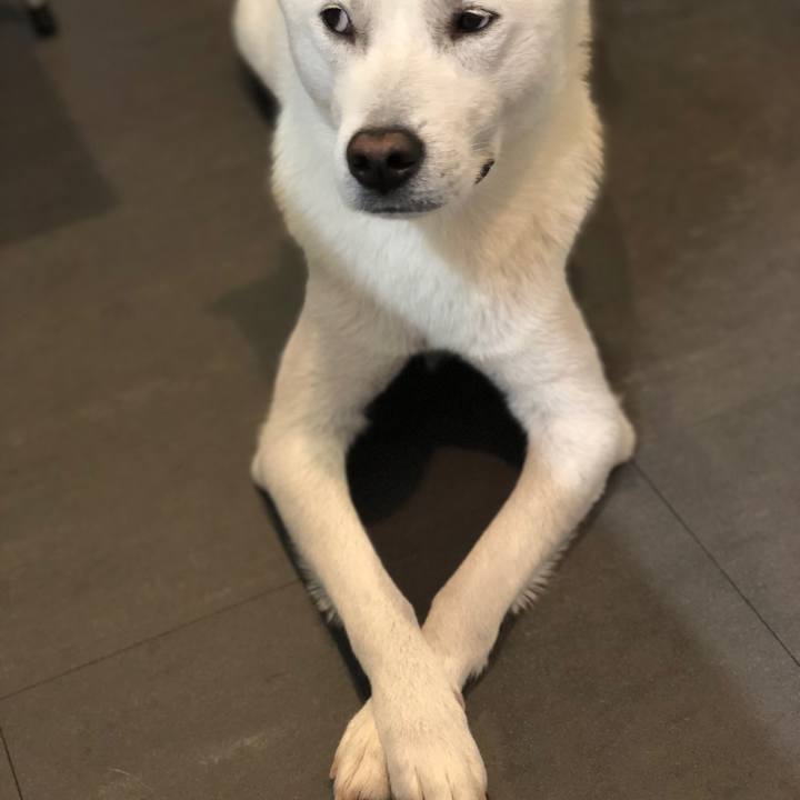 0b732489 a06f 4fd2 961a cb204660fbaa 1573183992727