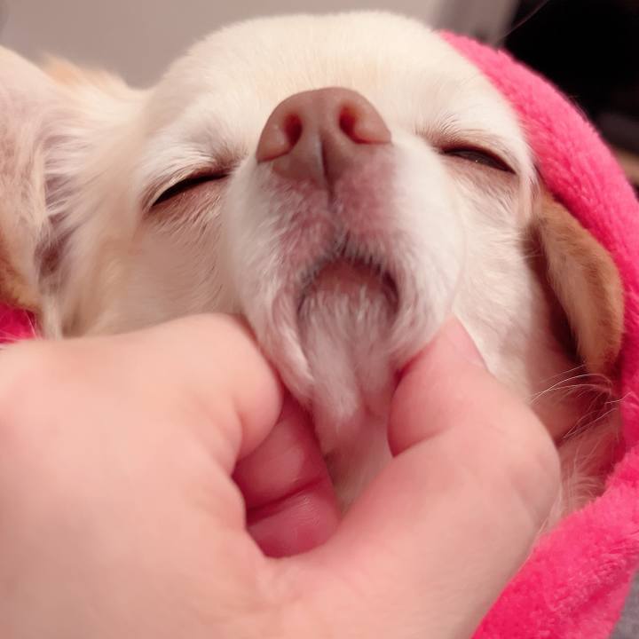 0b73297e 0578 4fac 995a 621eeac83aa1 1734423641824