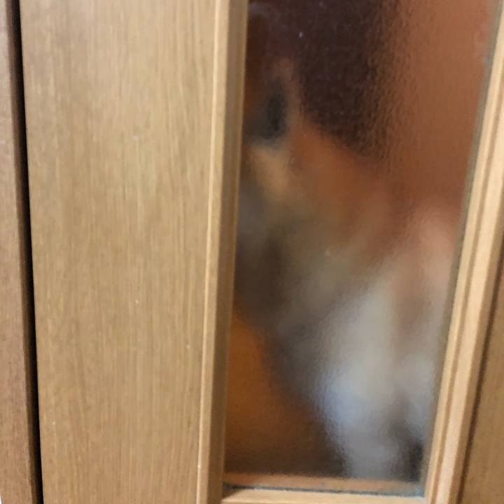 0b734c1a 3f4a 4d1e 86a8 87872d319789 1574863722084