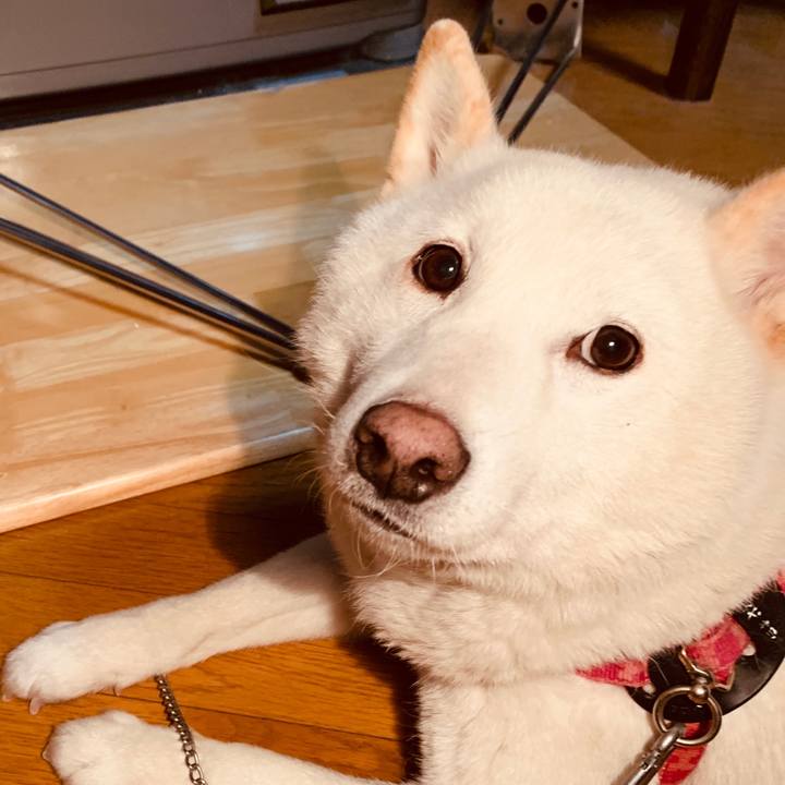 0b7359af cf58 4c91 9325 bfc74d2044d4 1580167987493