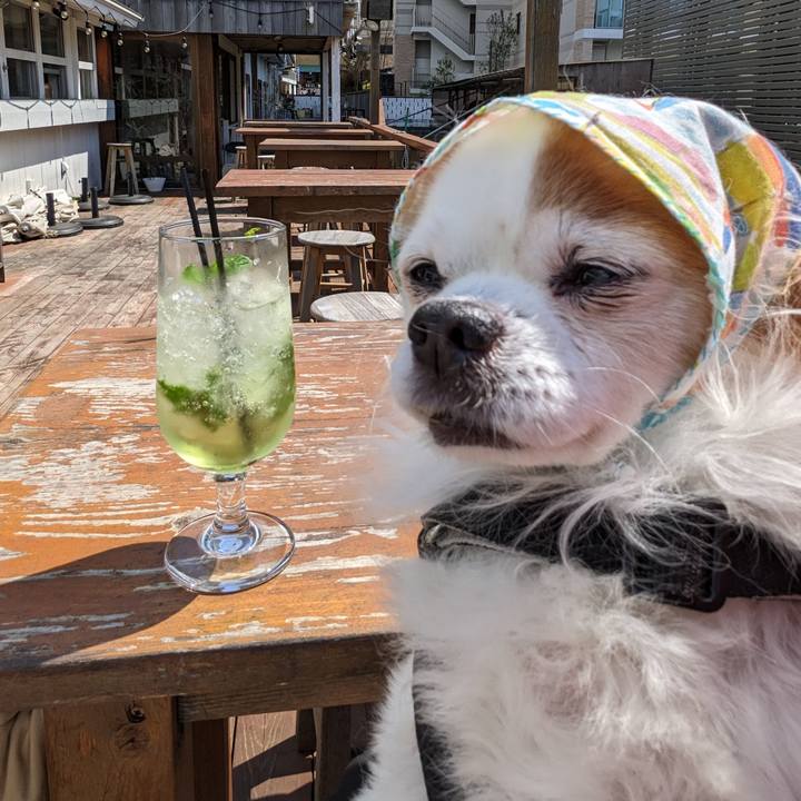 0b7387a5 ce0b 4703 b634 bee423311f33 1680145839985