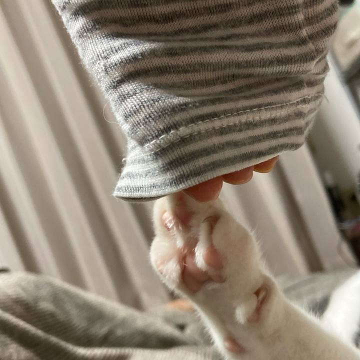 0b73ede4 bdae 40a6 839e 14788a3bf2af 1580383151975