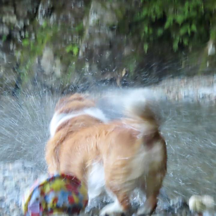 0b73ff9f b647 4cb7 8745 df00949d67d0 1726619656585