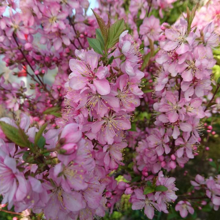 0b740925 85a3 421e 8ca5 7cbaeb9c49ba 1522295599357