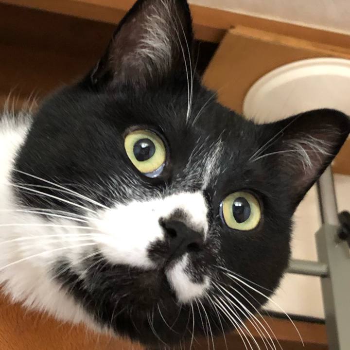 0b743485 f58d 4171 95e9 0f940a4b5ee7 1586576534451