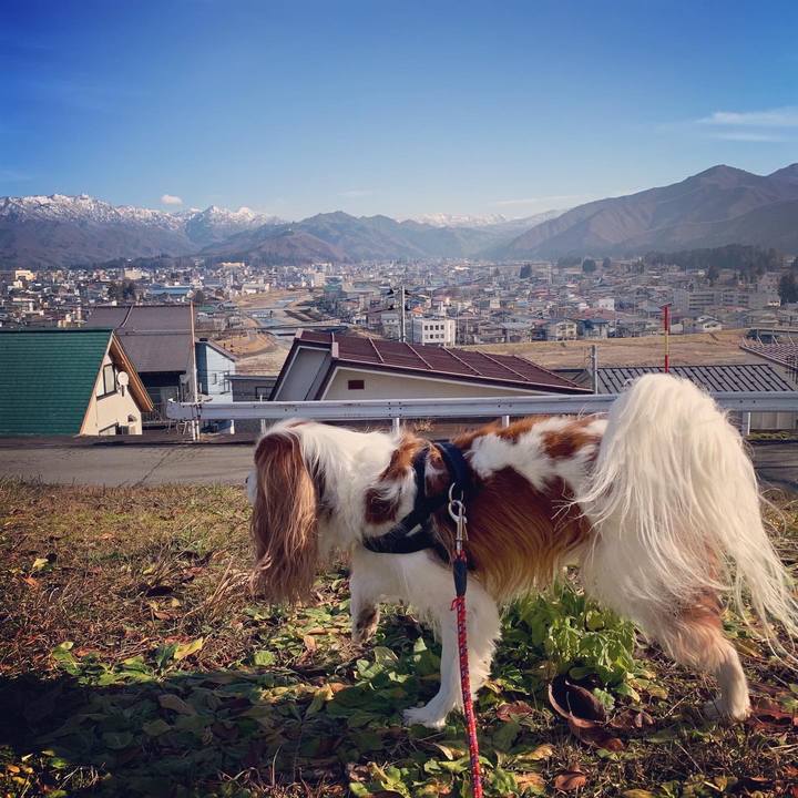 0b746ef3 c380 4b35 b988 9b8556fdb1f9 1576897447636