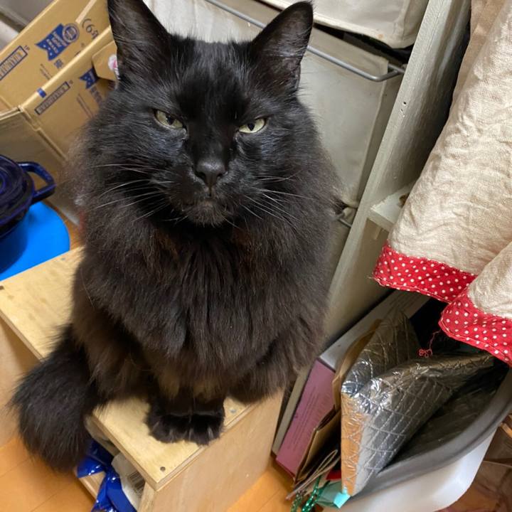 0b74927e bc48 4cfd a77c 09341e7e4fd1 1583290833820