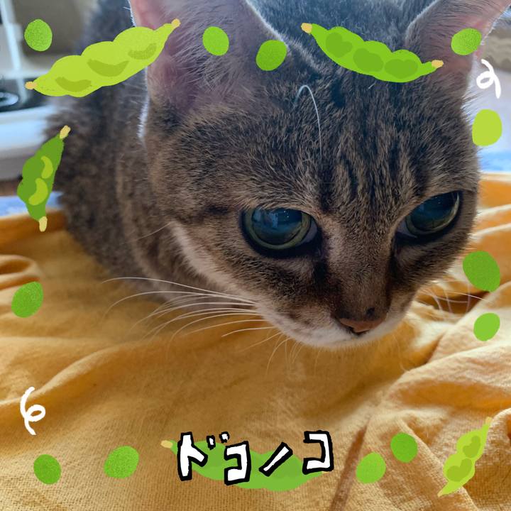 0b74a558 34e6 4a5d 826b 79fe62124ca0 1721346029495