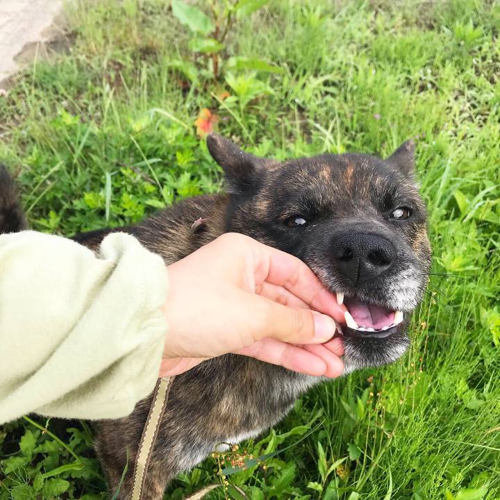 0b74bcc6 3c9a 4fff 8dc2 8f6a725432fd 1560836041449