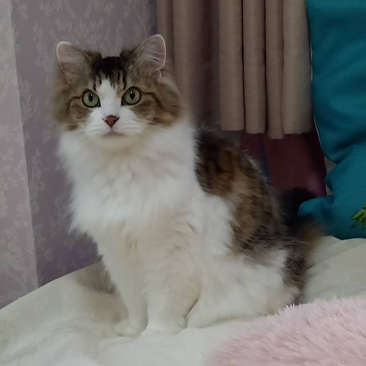 0b74cd52 f804 4978 bdd3 639e50ea9123 1673742418763