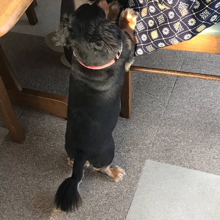 0b74d832 af6b 4b6e 9a85 b8ba1c629c9d 1542837987243