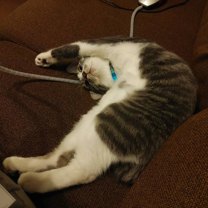 0b75033f c1f6 4d8c 945f bcdd2a1d91f3 1567514937175