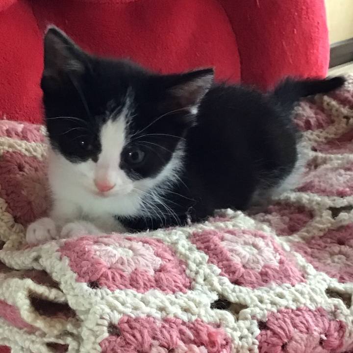 0b75083c 149b 4978 9290 d2f7e51e71fa 1623384700149