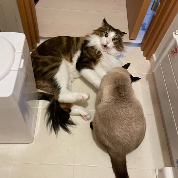 0b751639 555d 4b53 bed2 4aef1ae9c331 1722972499663