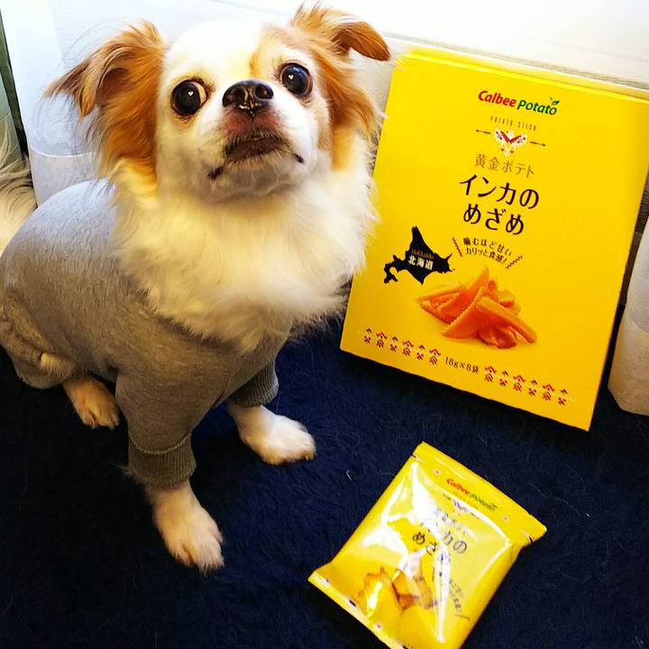 0b753461 504b 4025 ab5a 39456f932b0b 1528776956191