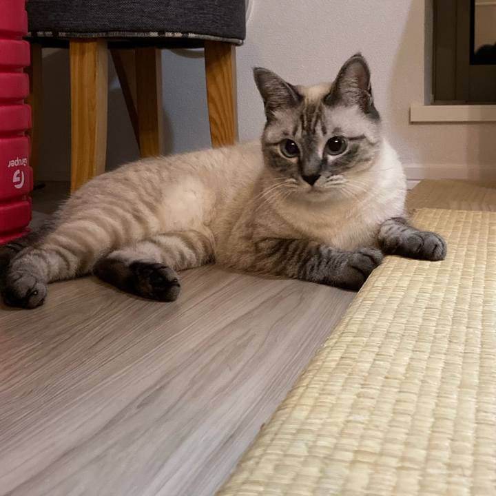 0b756708 9224 4e2a 8ab6 f08eeb5e98d2 1596113021785