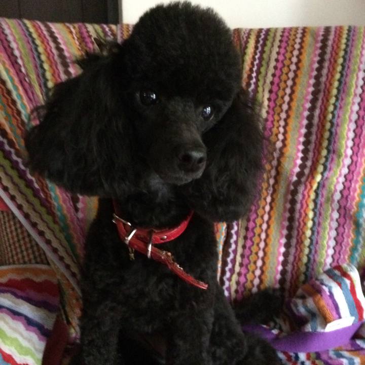 0b75a230 171d 4cc0 9011 d565685d1945 1535773232678