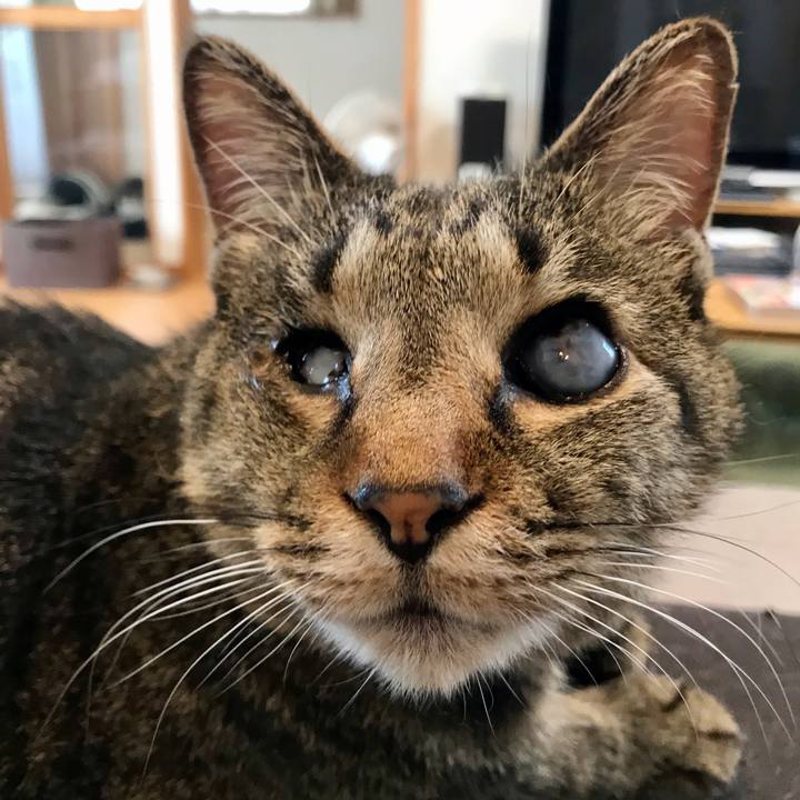 0b75abb8 21d3 4f7c a372 548dc4a8ff78 1618743127006