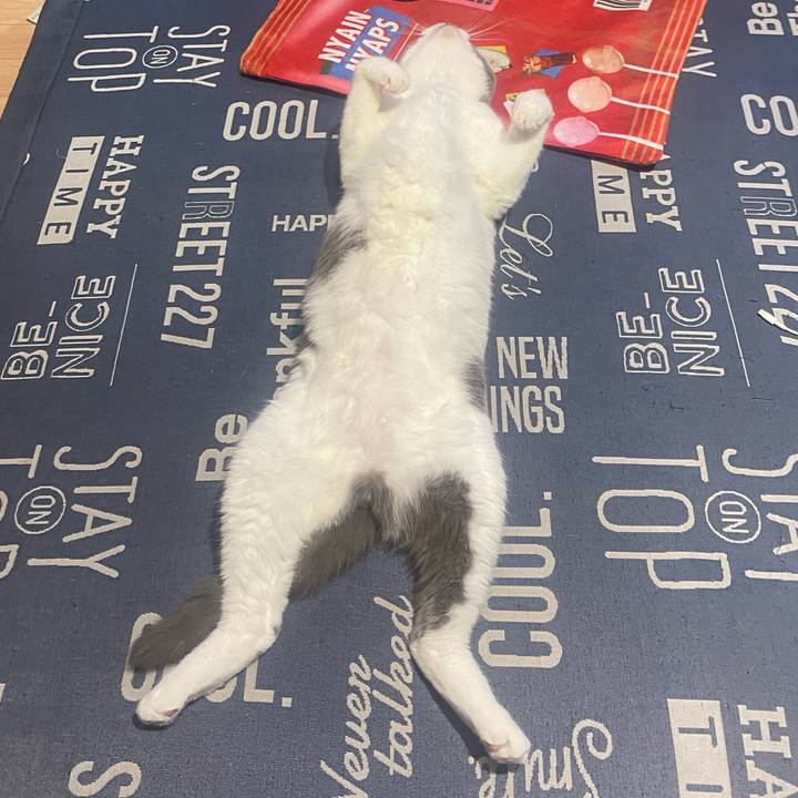 0b75e825 35e4 44fb 83ea 537cc4855fb0 1724600201285