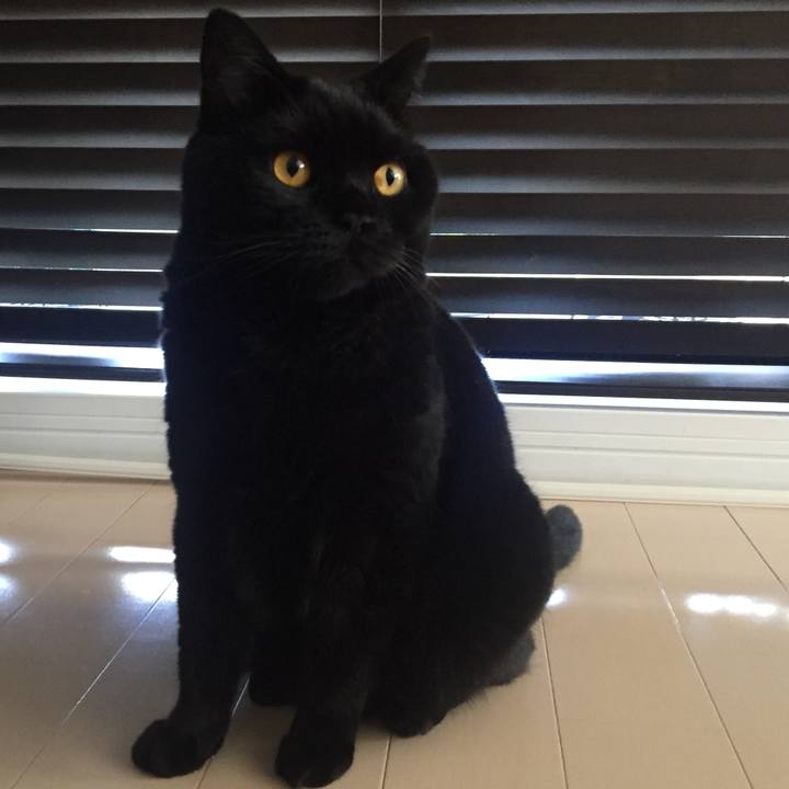 0b765fe6 cbdf 4657 b64b 6c96dfe7f06a 1564960888129