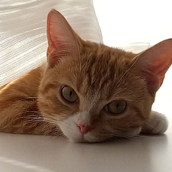 0b767a36 a822 4deb 9db9 ffe5a1818ae6 1629949202559