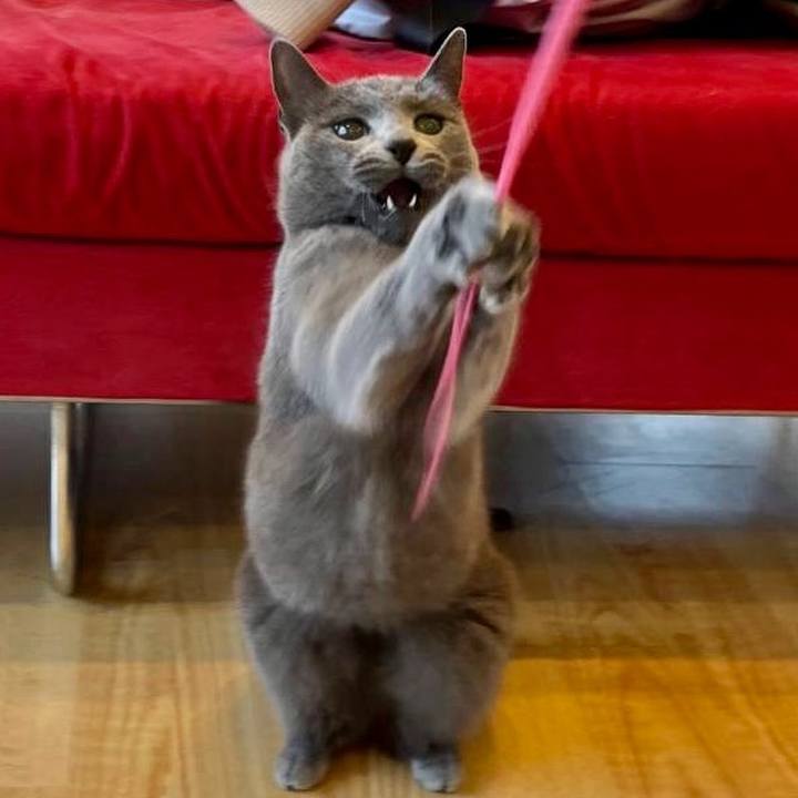 0b76827a e0a7 4212 b518 62f9978c6f19 1704277817674