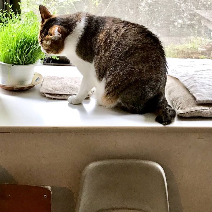 0b76f0c4 18ff 4e82 b347 ff15733858b3 1556195311315