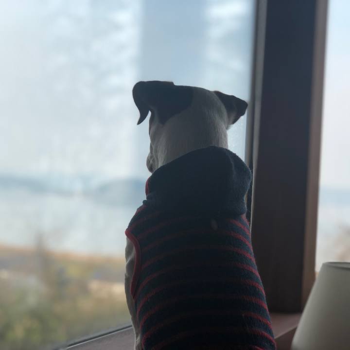 0b7727ed 72db 49b5 a1d7 67add82270a6 1551083861319