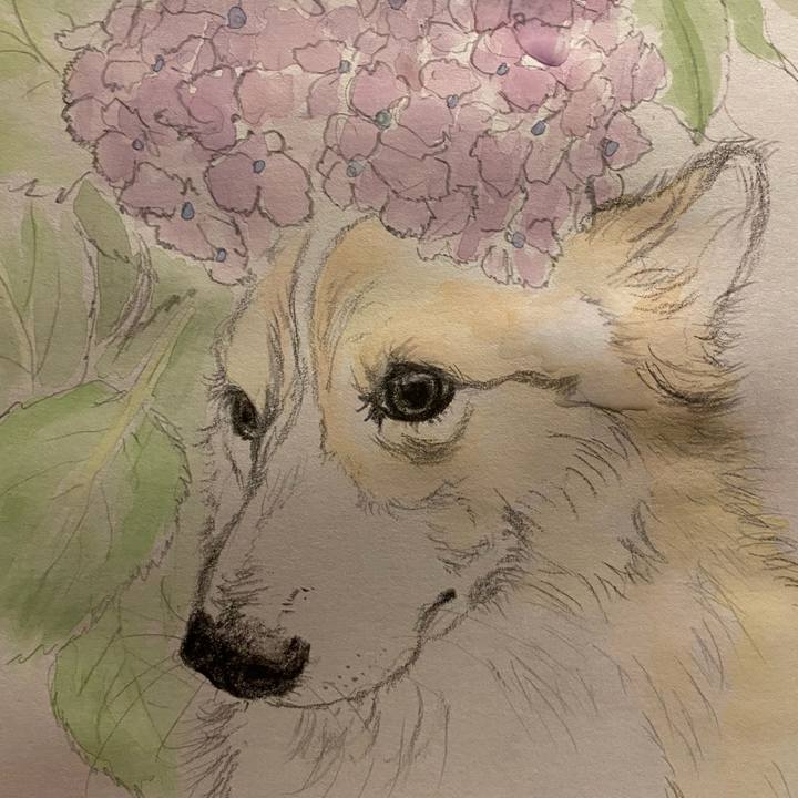 0b774e71 050d 473b 9698 162cc458dc2f 1661608238248