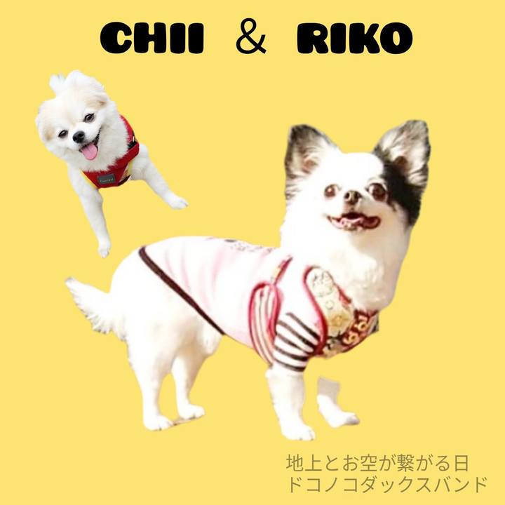 0b774ee2 f300 40d6 acaf f8ab3df55ec3 1755317308571