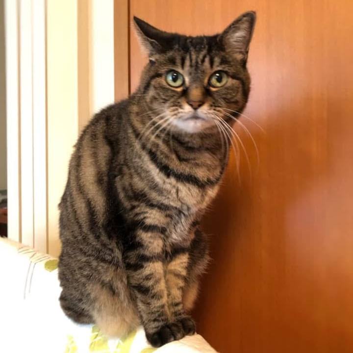 0b775926 21ba 4e56 9410 e4e40f2cf7f8 1765318482468