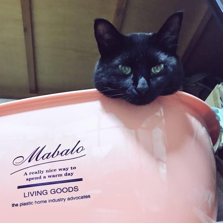 0b777254 5c69 4326 bcee 1e7ef0a585a1 1526366535785