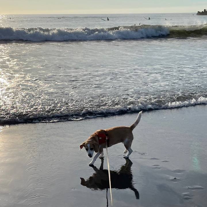 0b7772c3 d2ae 4cf8 8a69 54d45fb374c9 1658615443048