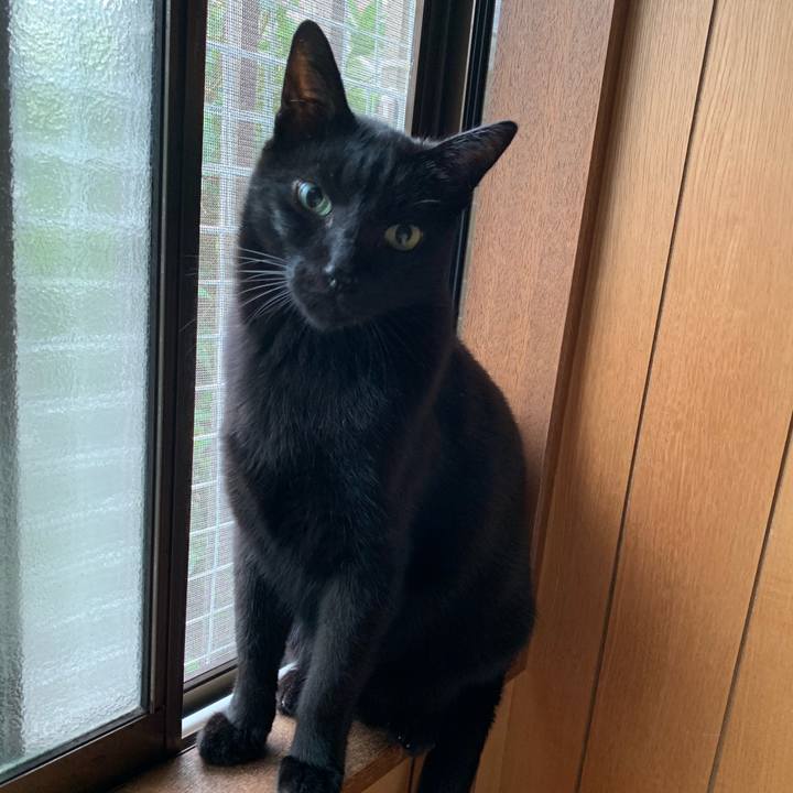 0b77bf53 cafa 4d5e bc91 e422a4adb661 1540258036208