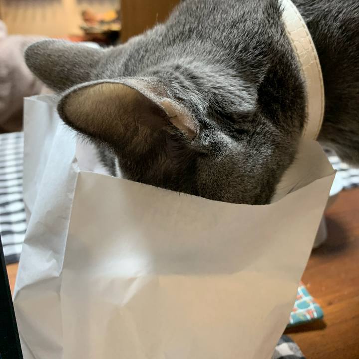 0b77c614 a722 4852 b401 5a1724737908 1675511691618