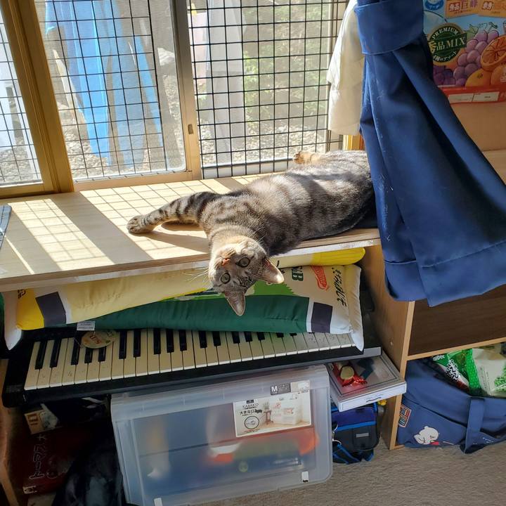 0b77ce23 d7f9 4829 8d42 17ca36601b78 1694263262883