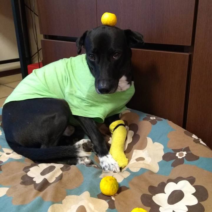 0b77ee48 d934 474c b361 dd5dee4b4daf 1606293748638