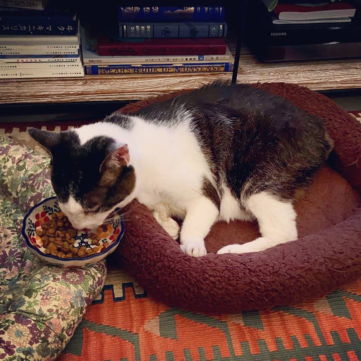 0b781eb1 7da7 42be b585 e5b2d86c91b5 1594643399698