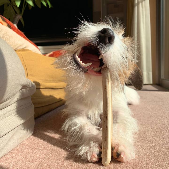 0b781f13 4426 4535 894d 852ec76ada53 1581050805129