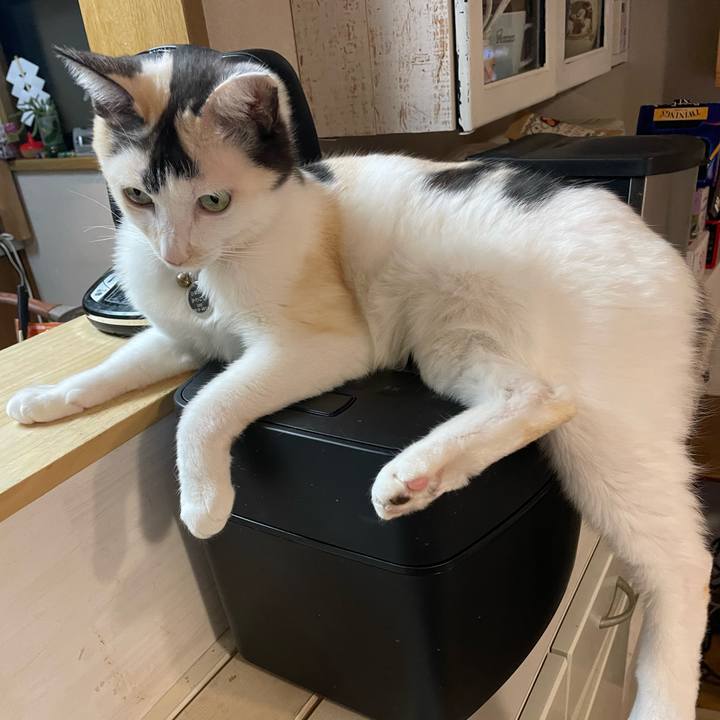 0b7827f5 9e58 462c 8057 01daf1464629 1761222008822