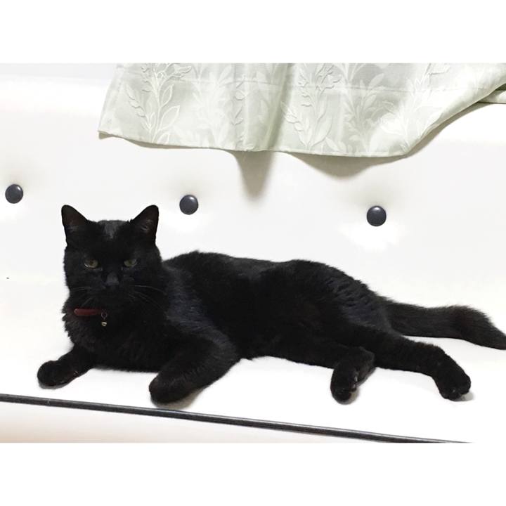 0b783546 b9ea 4fd3 8f9c bb328f54012a 1534154982848