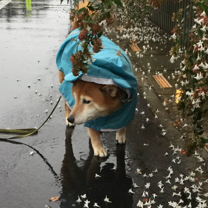 0b786cfa e5a8 4da8 a5b4 c1c57543c836 1602229740659